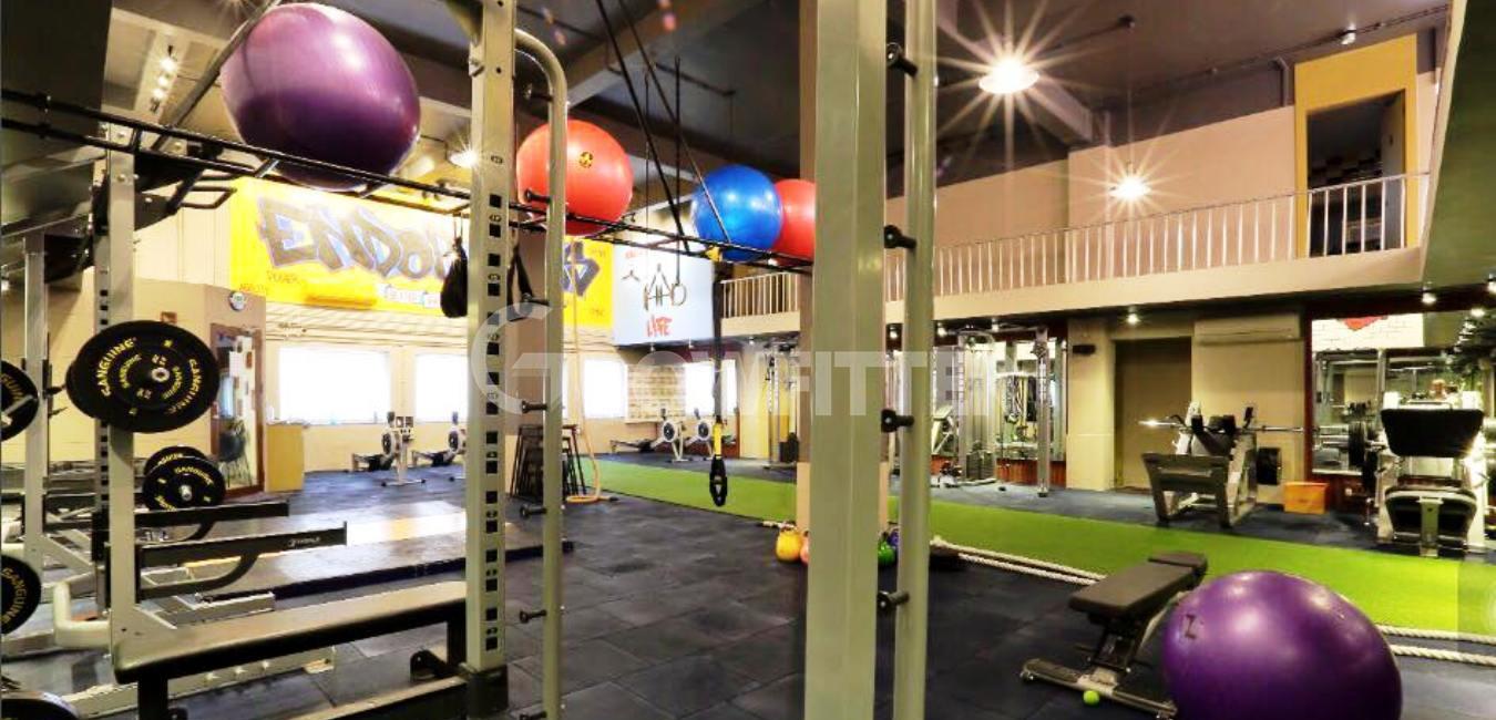 endorphin gym