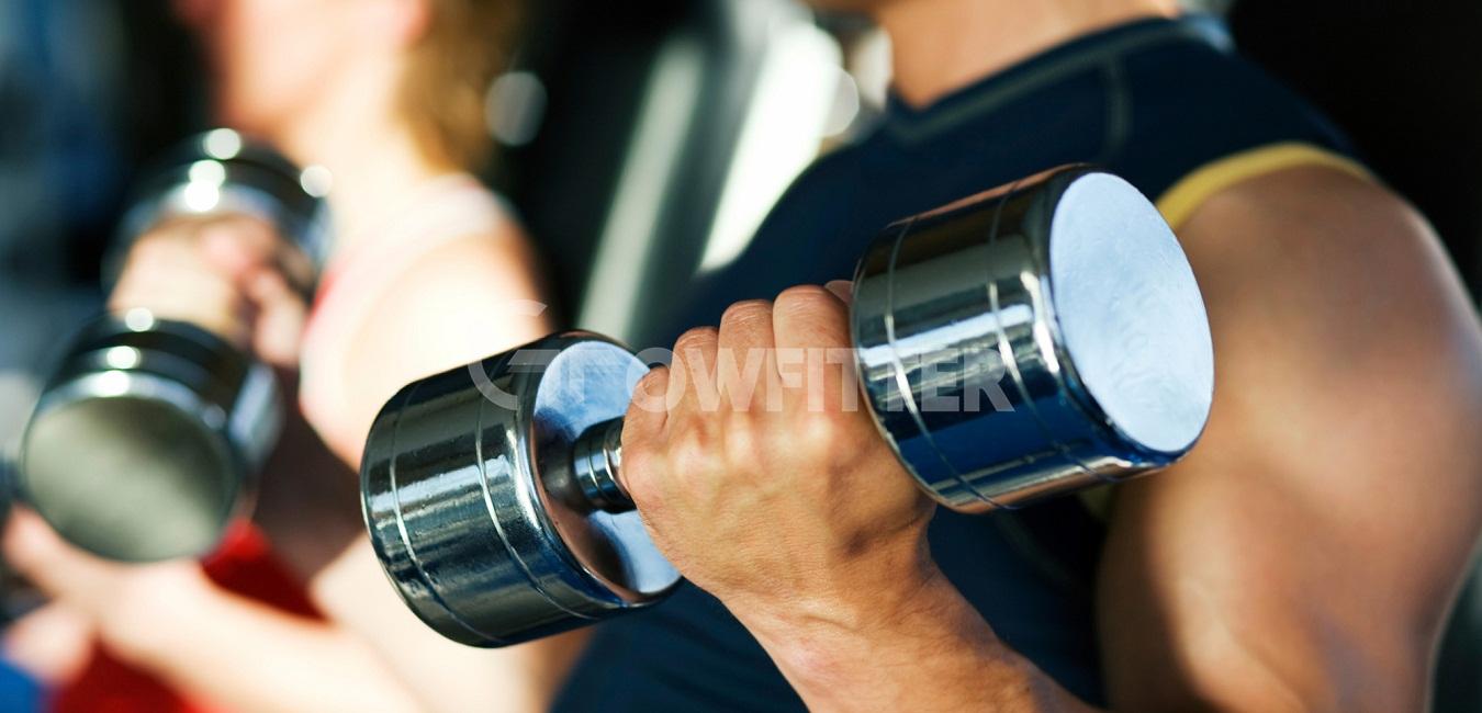 gladiator fitness