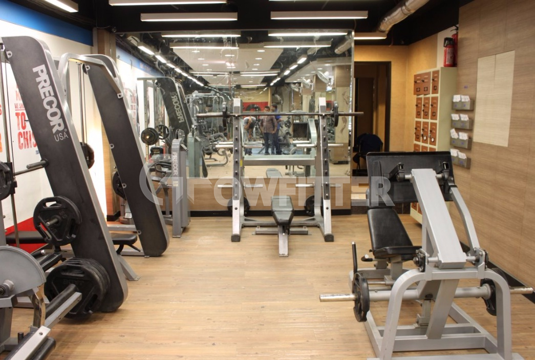 Quitosana: Suplemento Para Perder gordura E Como Usá-la Junto Com Exercícios 1
