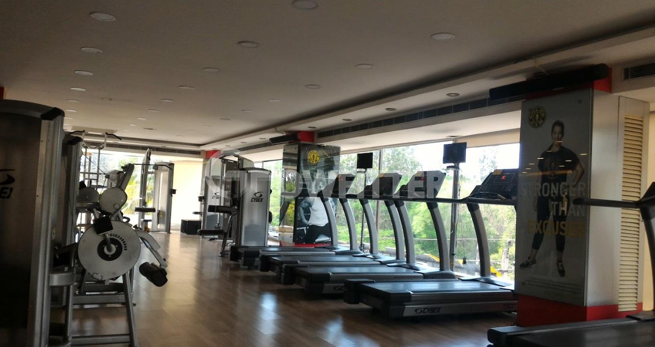 Gold S Gym Jayalakshmipuram Mysore Gym Membership Fees, Timings